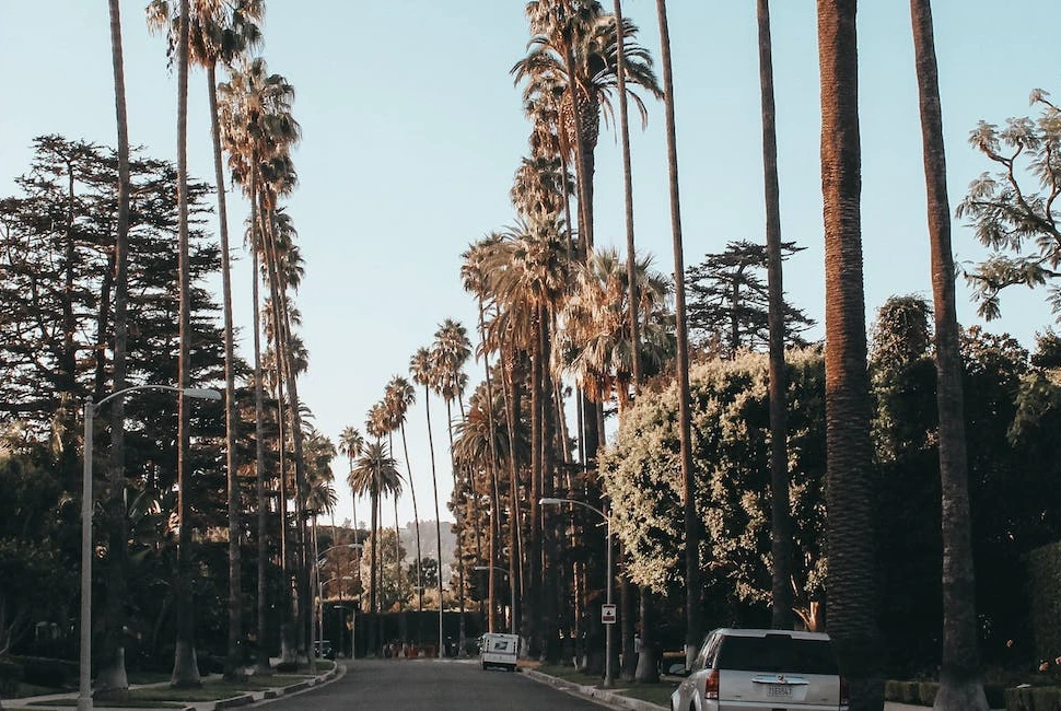 Road Trips from Los Angeles: Exploring the Scenic Beauty Beyond the City Limits